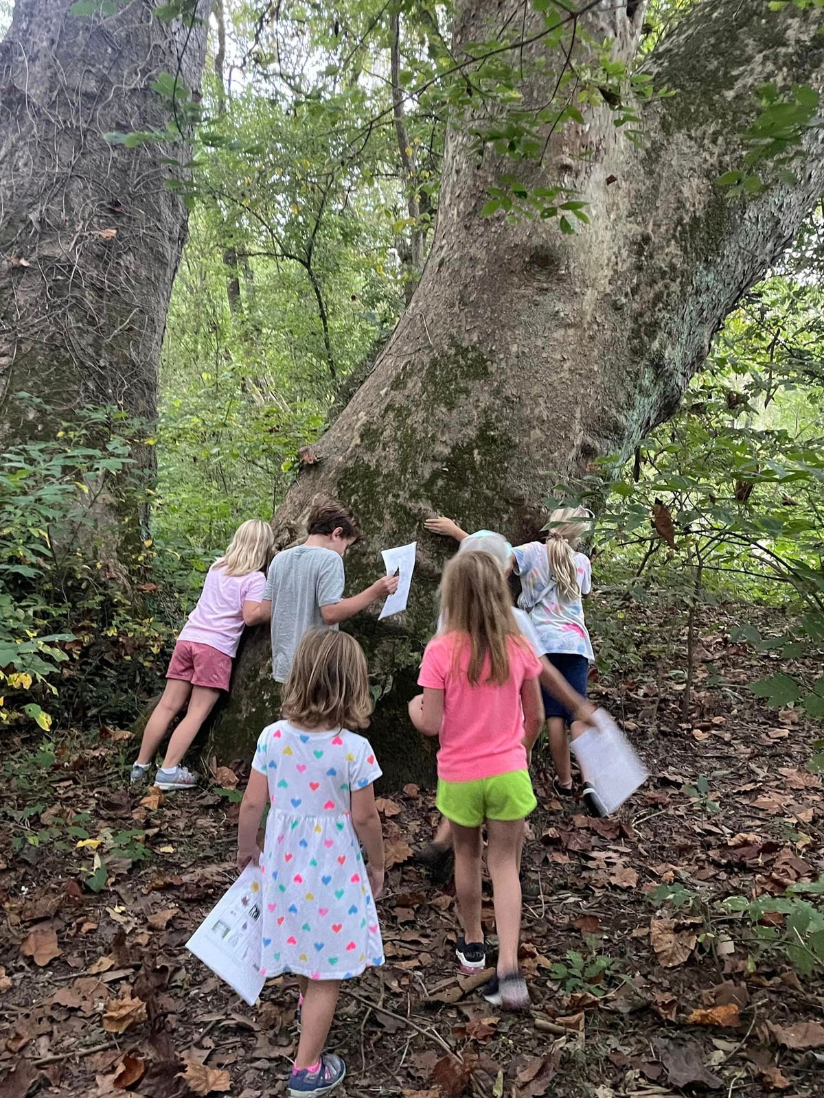 Family Picnic and Hike Night