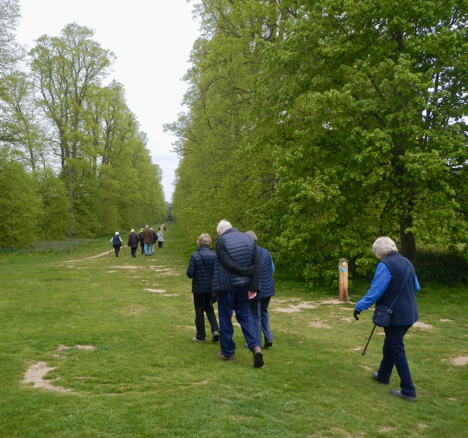 Going Strong! Get Walking Mondays! Nowton Park