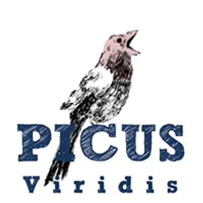 Picus Viridis