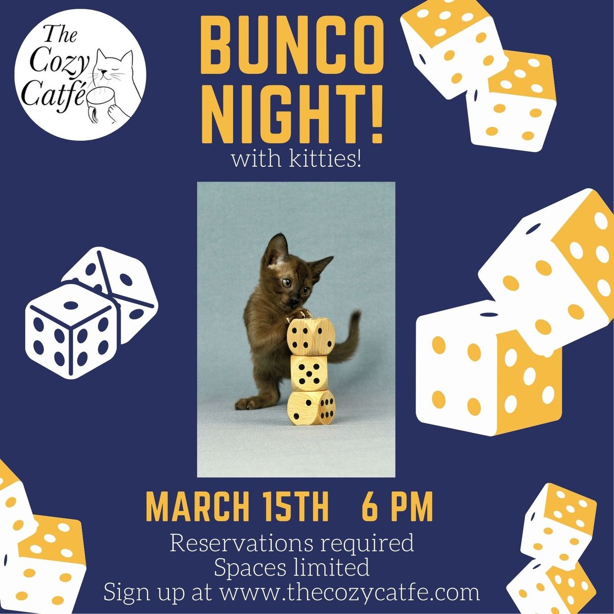 Bunco Night with kitties!