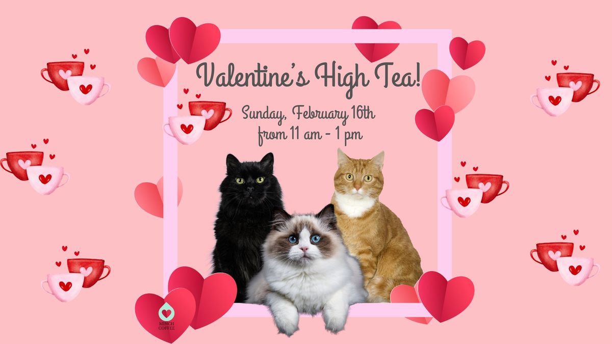 Valentine's High Tea With The Kitties!