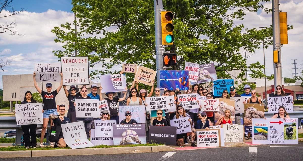 Protest SeaQuest Woodbridge