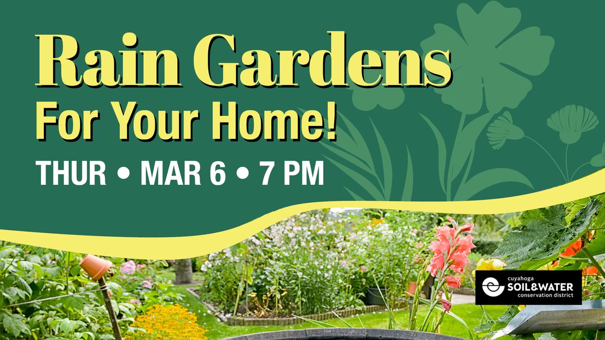 Rain Gardens for Your Home