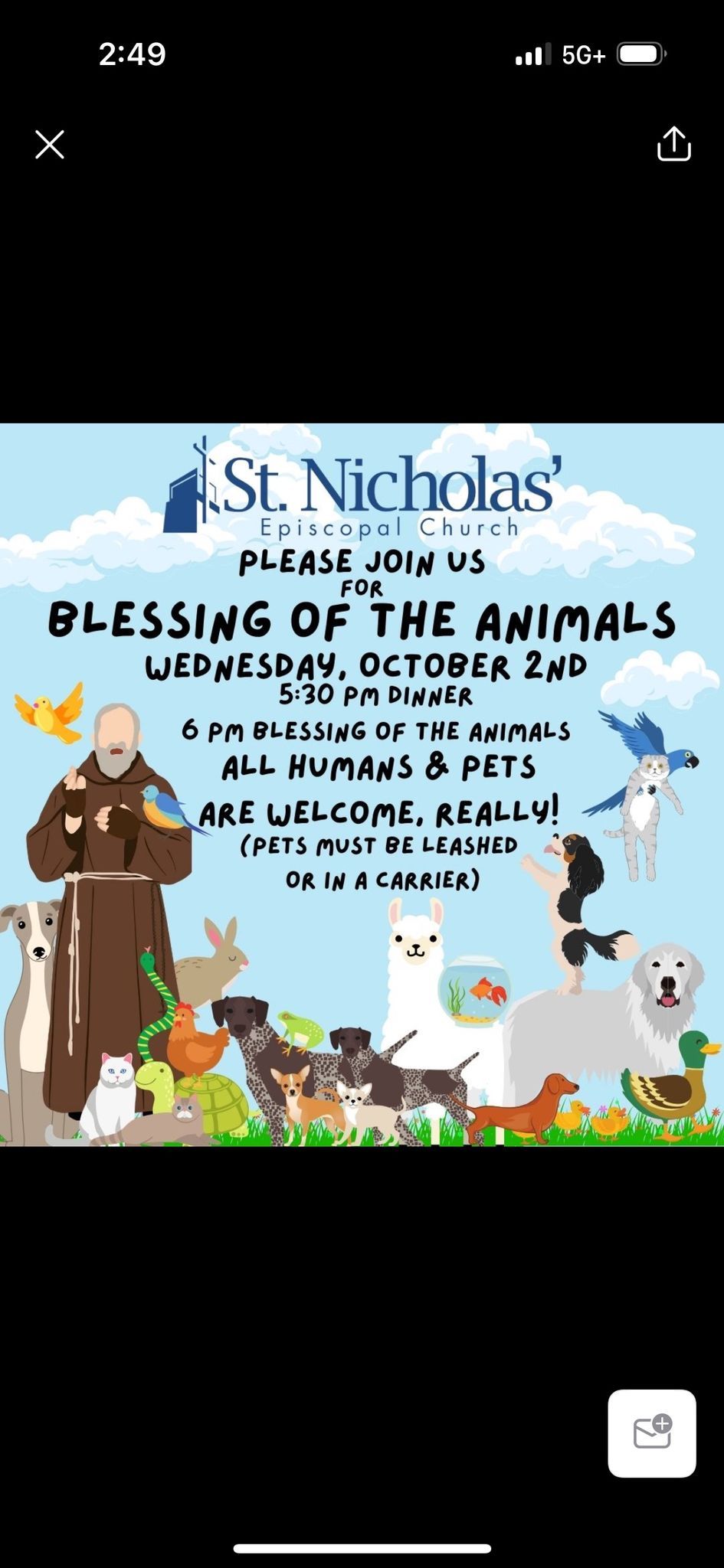 Blessing of the Animals