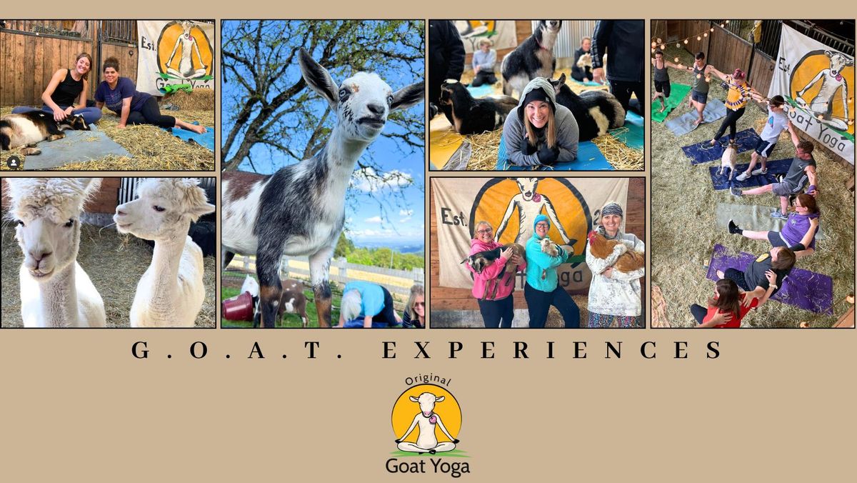 Original Goat Yoga Experience