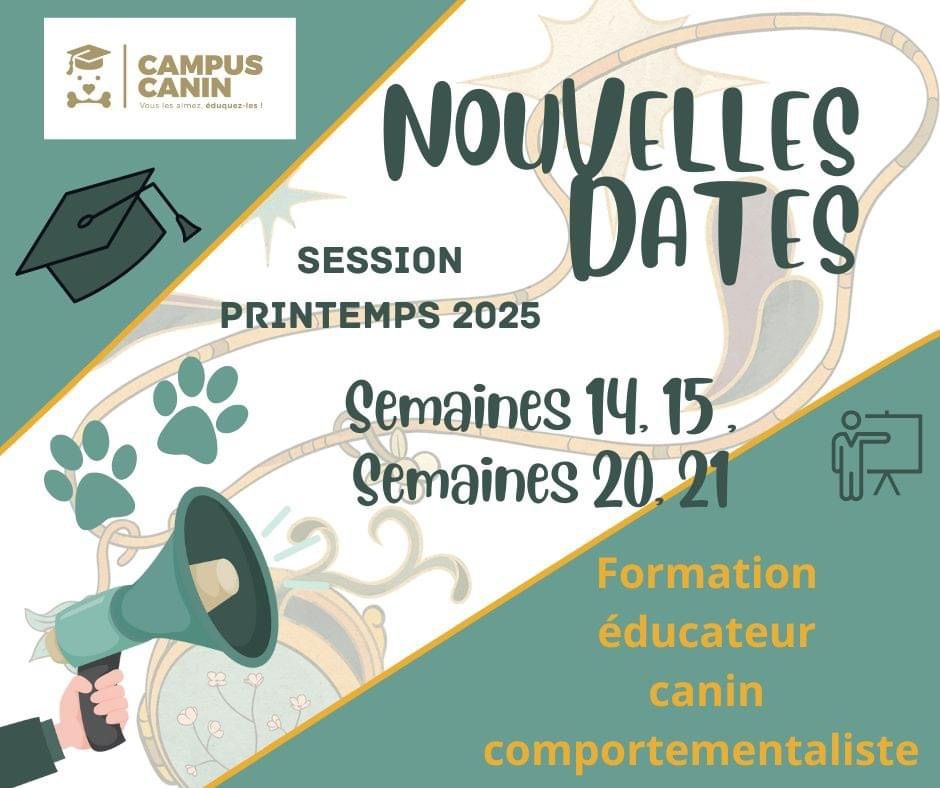 Formation \u00e9ducateur canin comportementaliste