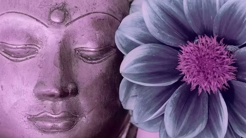 Sunday Morning Zen - With Question and Answer Period Tickets ...
