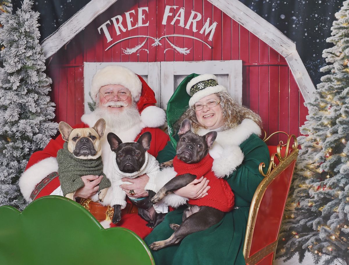 Pet Portraits with Santa!