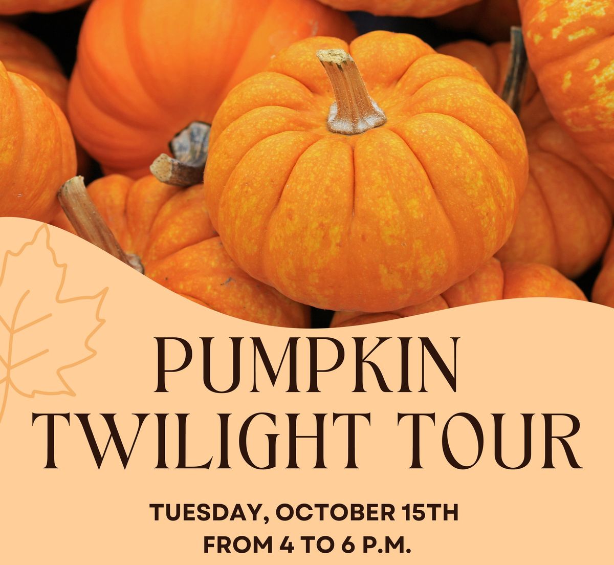 Pumpkin Twilight Tour