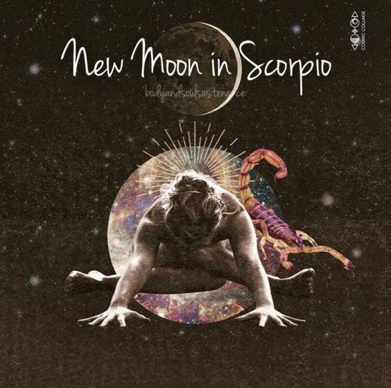 New Moon Circle | Astrology Update & Tea Ceremony