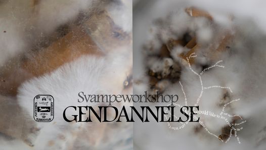 GENDANNELSE: Svampeworkshop