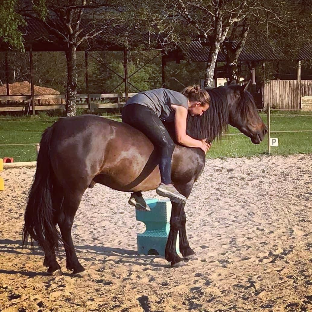 Vers la connexion en libert\u00e9 avec le cheval 