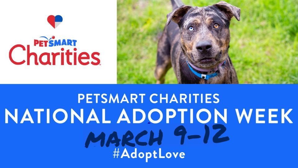 National Adoption Week at PetSmart , PetSmart (Hattiesburg, MS), 9