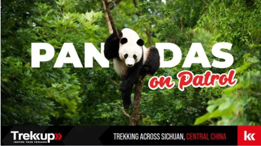 Panda Patrol | Trekking Across Sichuan, Central China