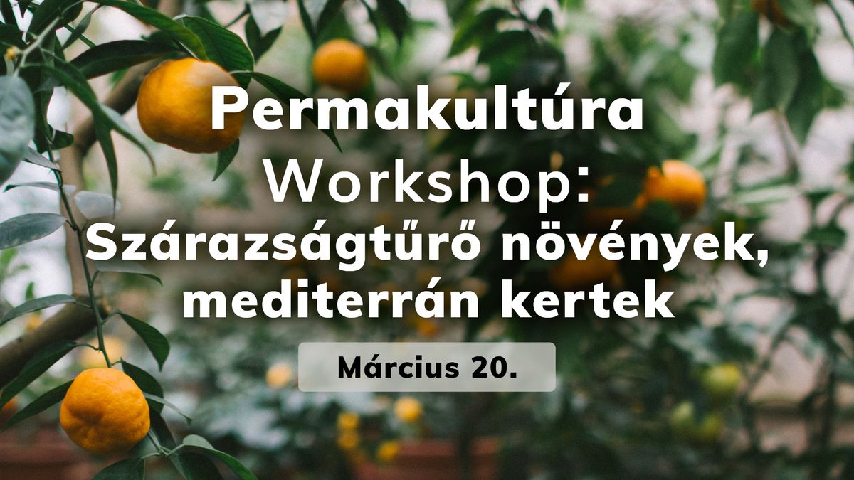 Permakult\u00fara Workshop - Sz\u00e1razs\u00e1gt\u0171r\u0151 n\u00f6v\u00e9nyek, mediterr\u00e1n kertek