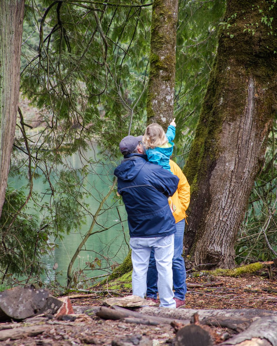 Nature Day - Evergreen Tree Communities