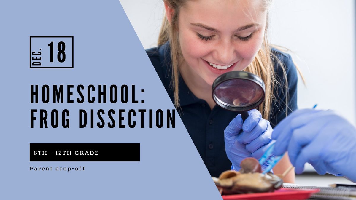 Homeschool 6th-12th Grade: Frog Dissection