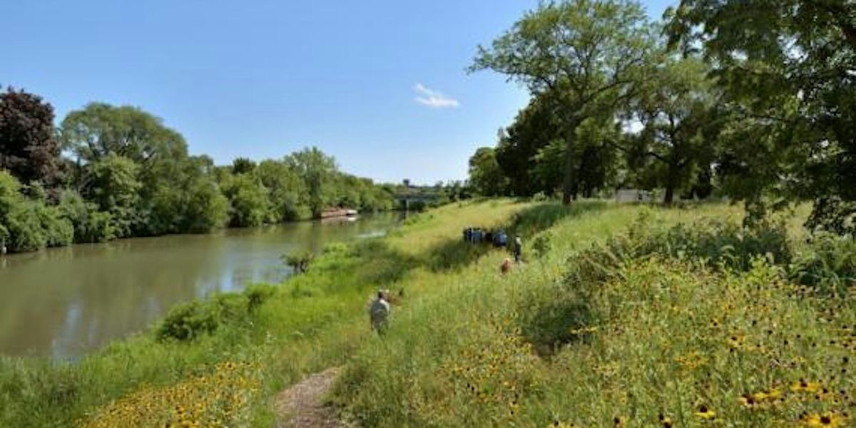 Monthly Hang at Horner Park (Irving Park)