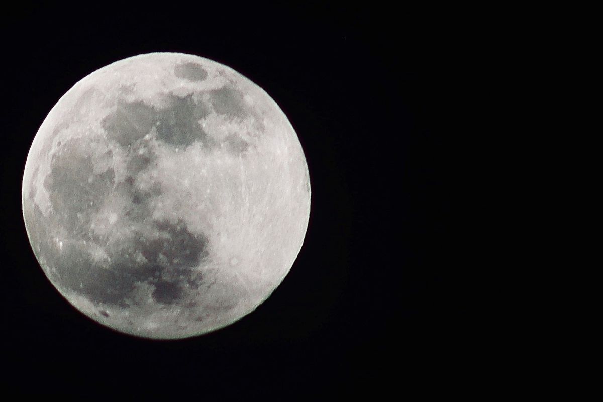 *Open to All* RSPB Arne Full Moon Walks