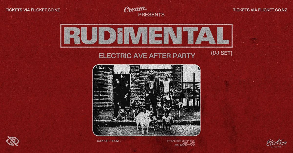 Rudimental (DJ Set) | Christchurch (SOLD-OUT)