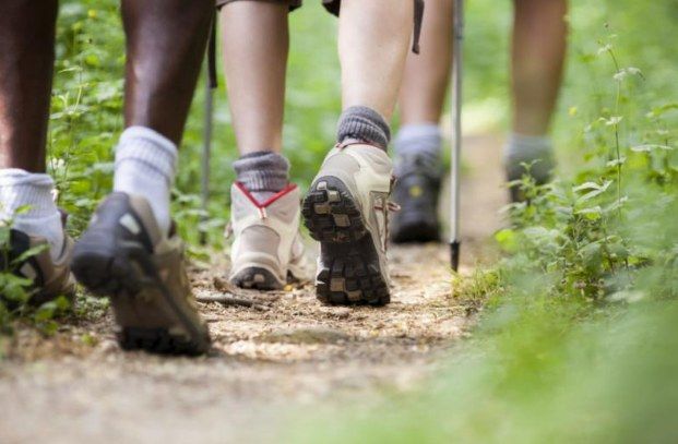 Murrieta Teen\/Adult Group - Nature Walk