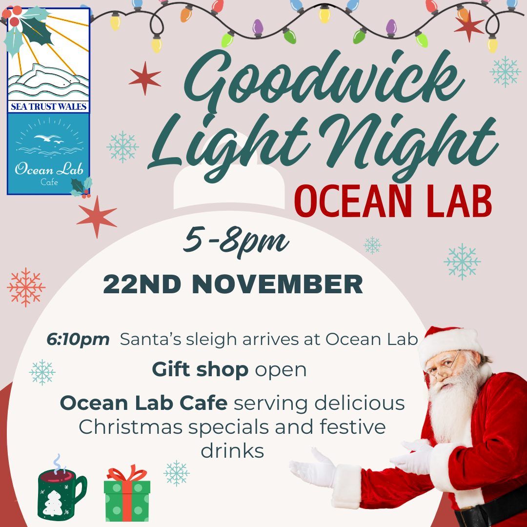 Goodwick Light Night at Ocean Lab 