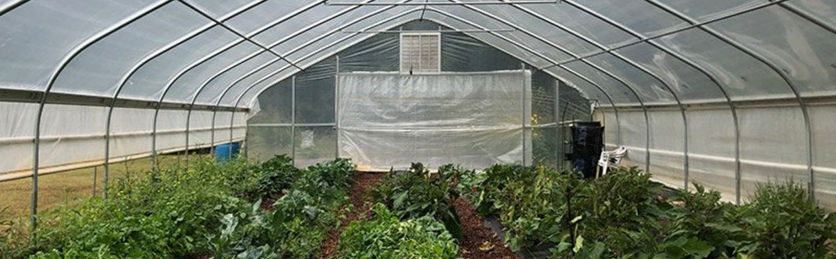 How to Plan and Purchase a Greenhouse or High Tunnel