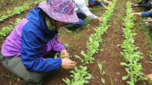 満員御礼 自然栽培講座 Umai In横須賀市芦名 横須賀市芦名 Yokosuka 17 October 21