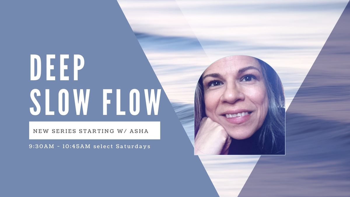 Deep Slow Flow