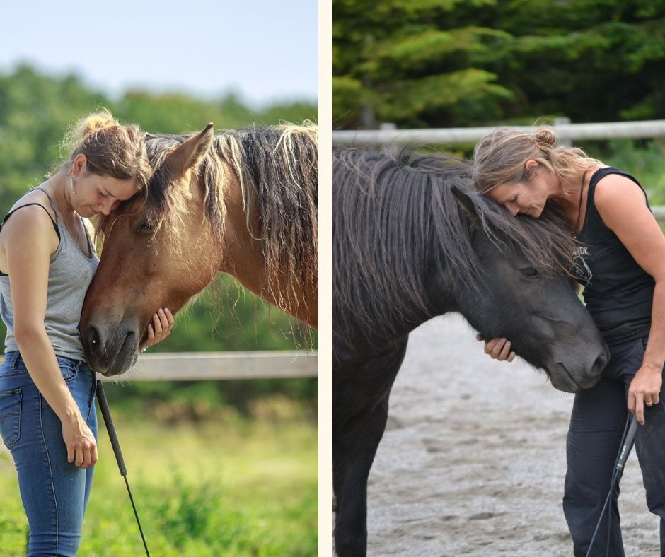 Workshop Heste og Ligev\u00e6rd m\/Mayanne Florman og Mathilde Denning