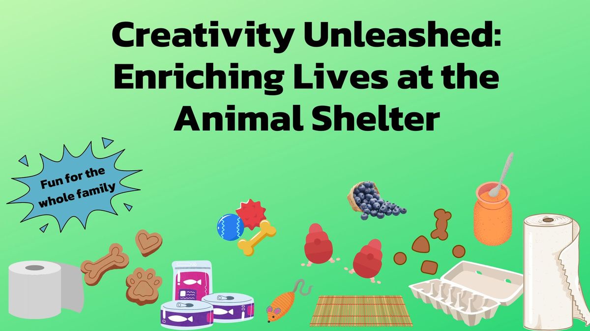 Creativity Unleashed: Enriching Lives at the Animal Shelter