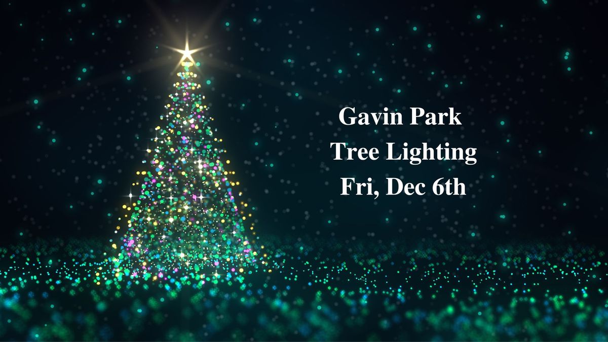 Gavin Park Tree Lighting