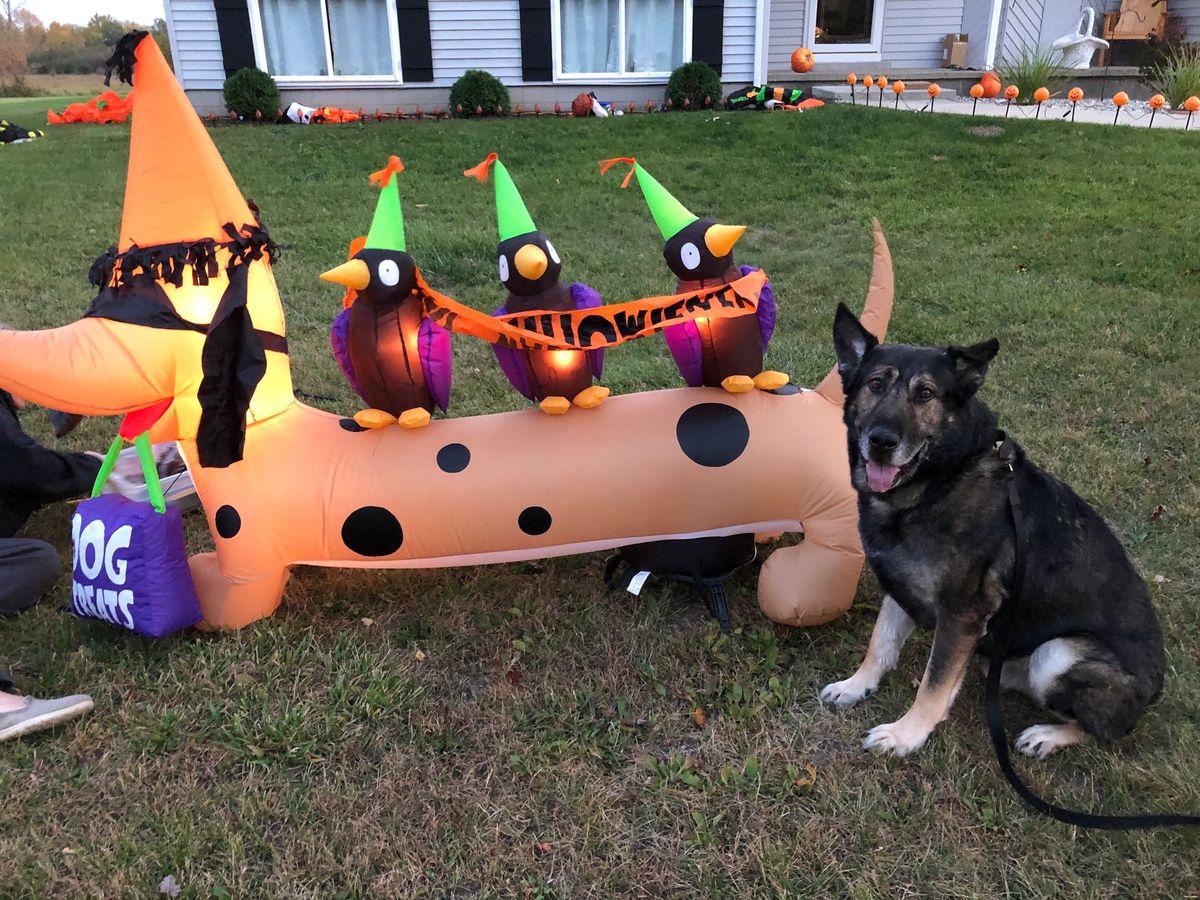 Police K9 Booth @ Scarecrow Fest