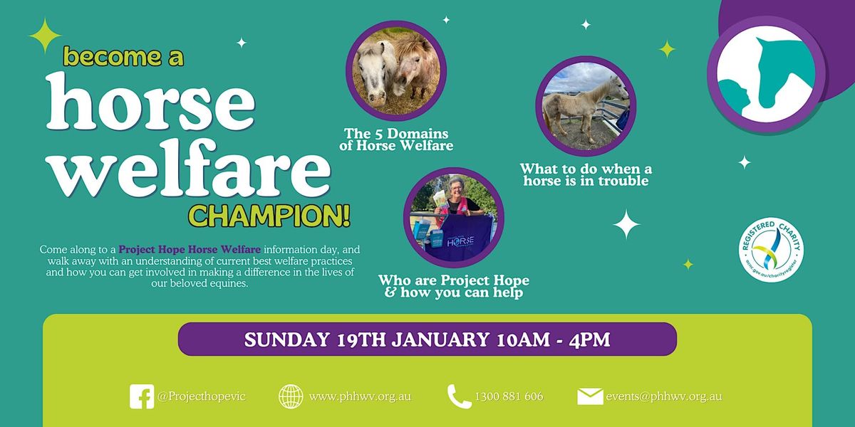 Horse Welfare Champion: Understanding Horse Welfare and Project Hope