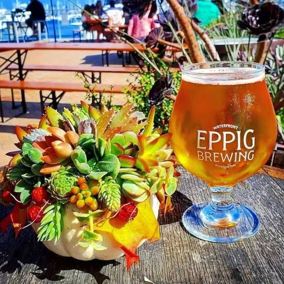 Pumpkulents At Eppig Brewing Waterfront Biergarten