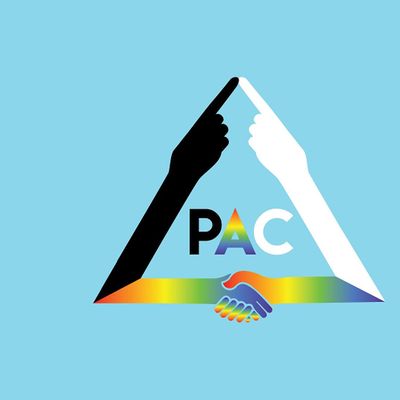 African Peach Arts Coalition sponsored by Brooklyn arts council