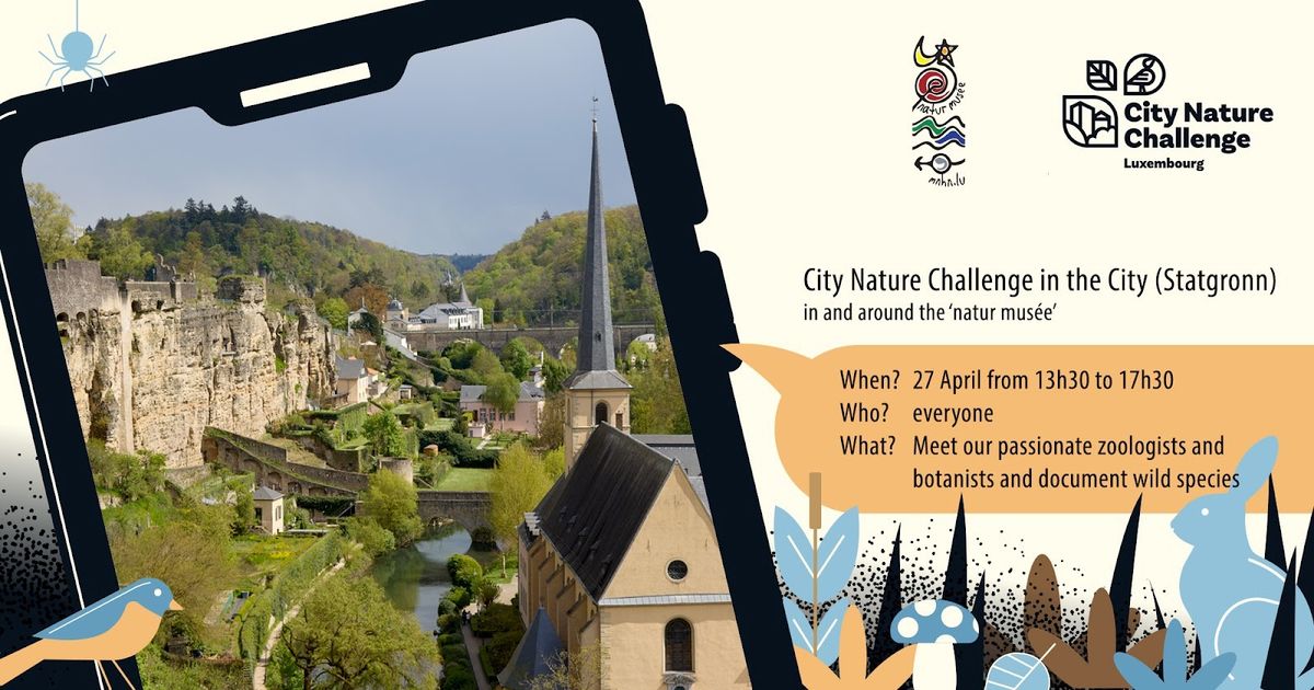 City Nature Challenge in the City (Stadtgronn) in and around the 'natur mus\u00e9e'