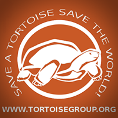 Tortoise Group