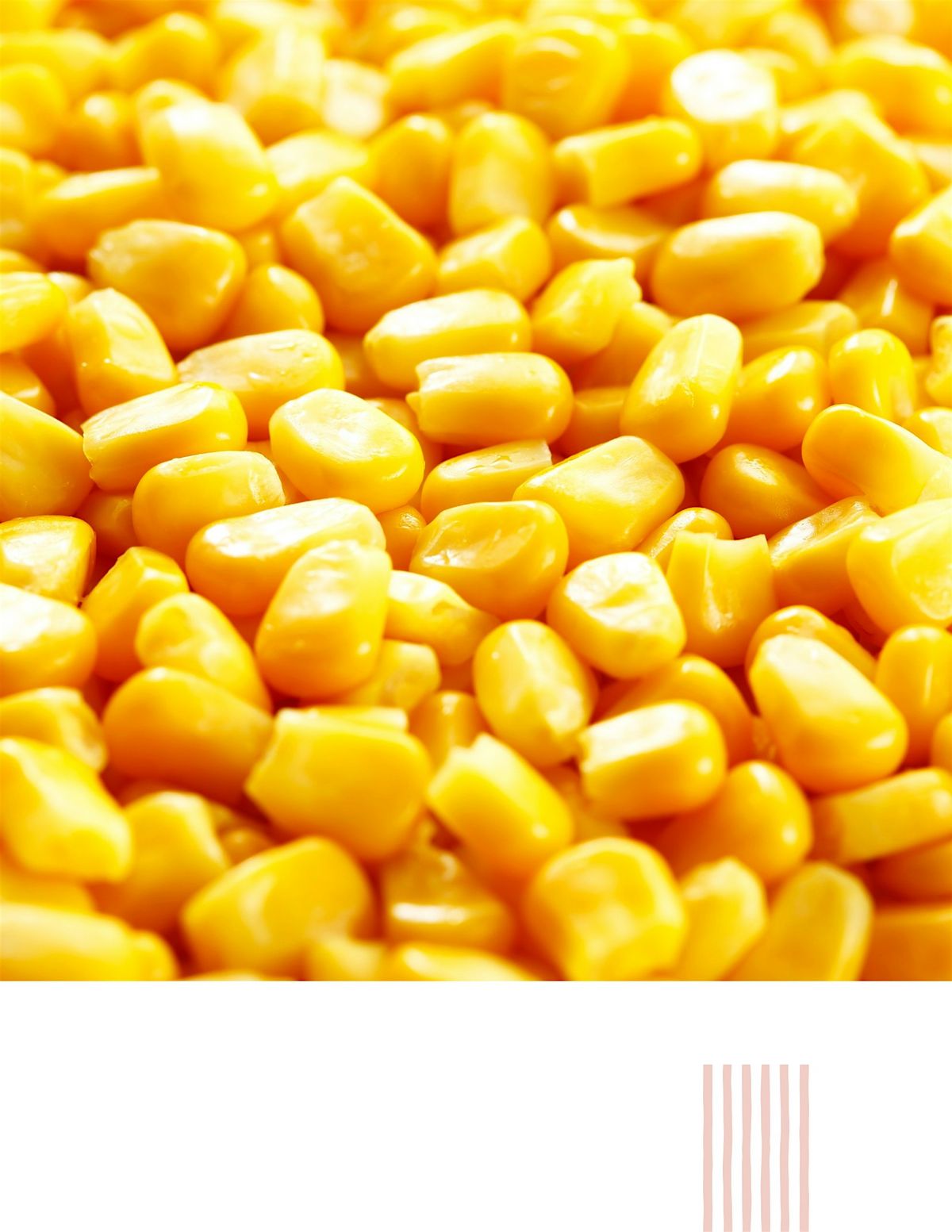 Summer Friday: Tennessee Corn