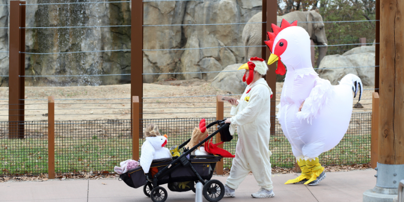 Boo at the Zoo