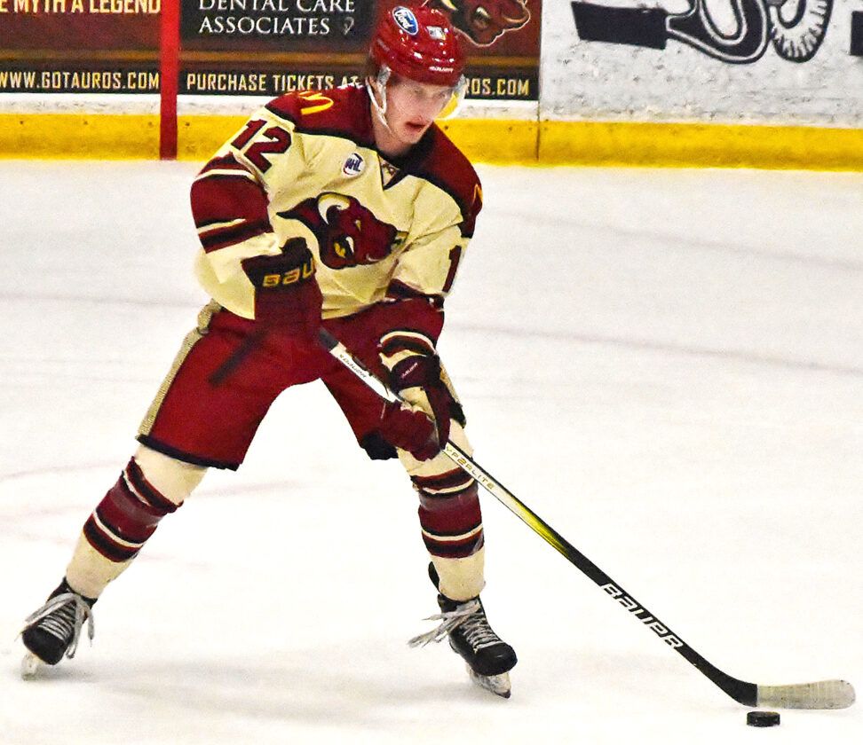 Minot Minotauros at Austin Bruins