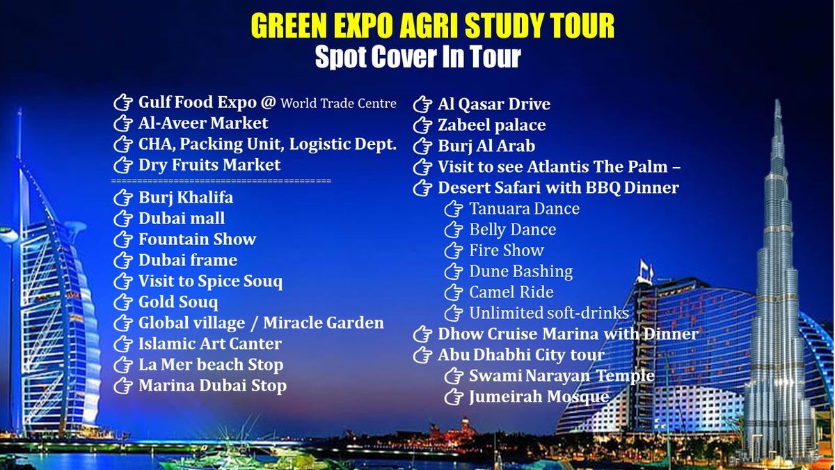 dubai Study Tour 