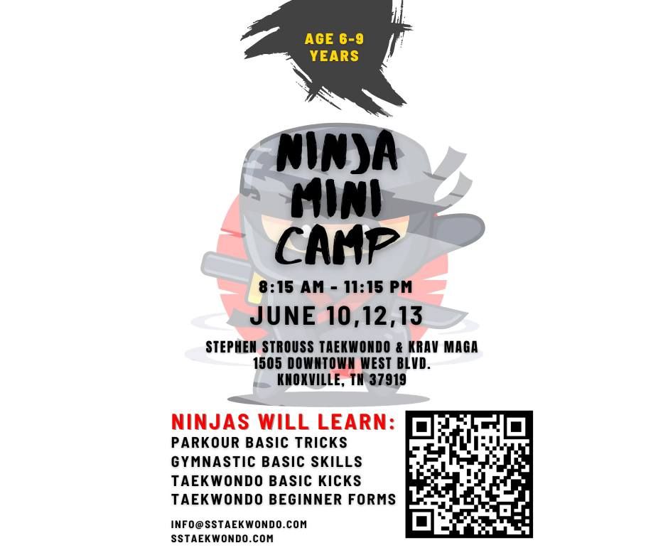 Ninja Mini Camp (Ages 6-9)