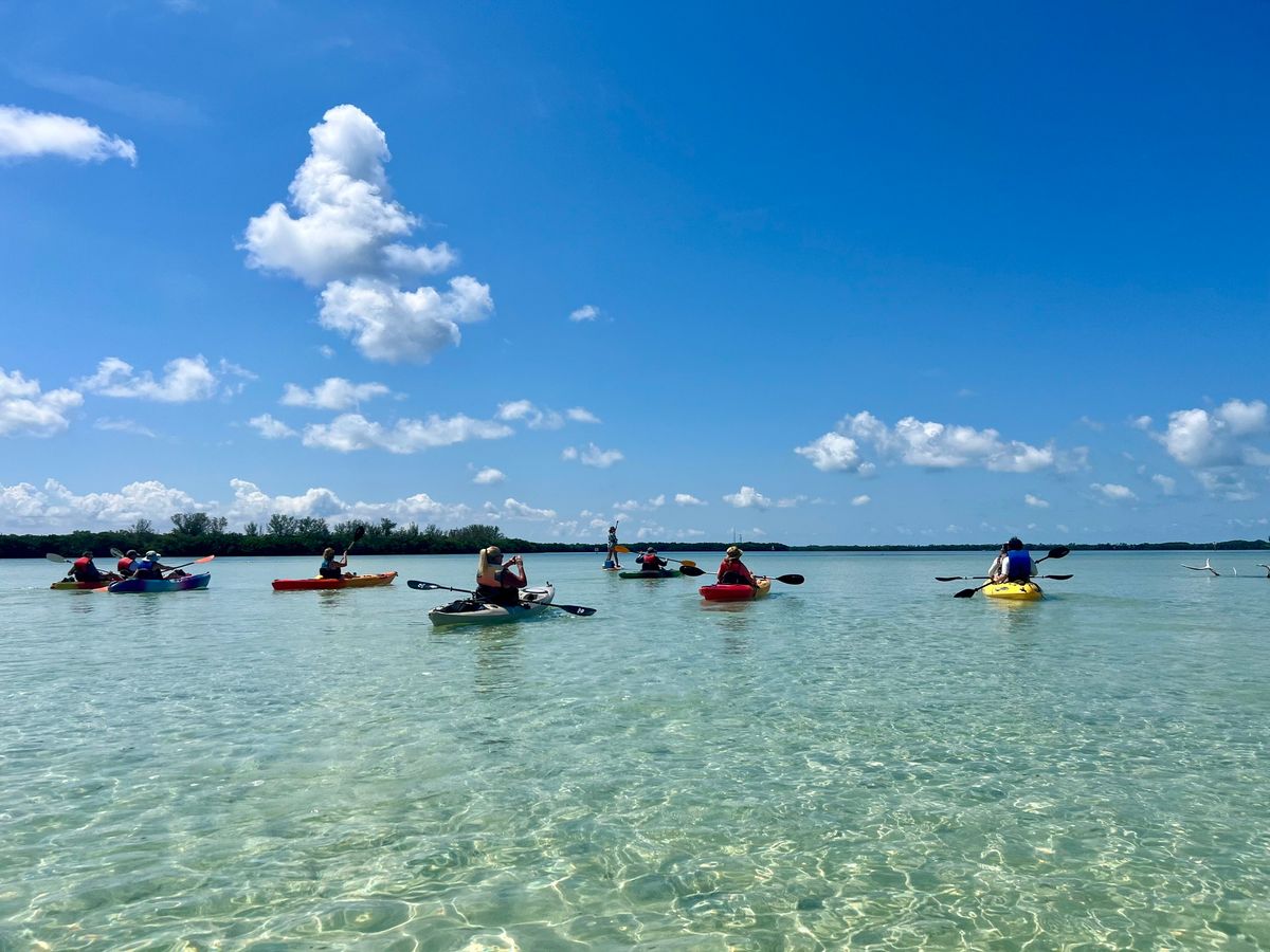 Shell Key Island Adventure 