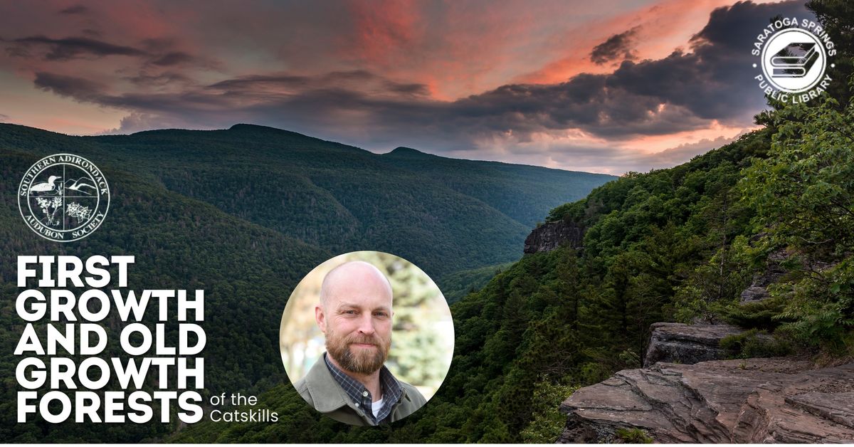 First Growth and Old Growth Forests of the Catskills