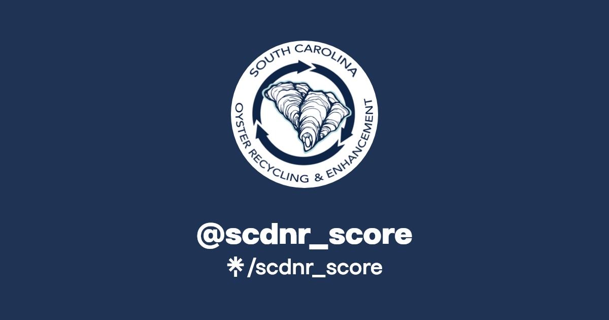 SCDNR\/SCORE Modified Wire Reef Fabrication