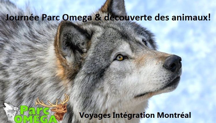 Journ\u00e9e parc Omega & D\u00e9couverte des animaux! 