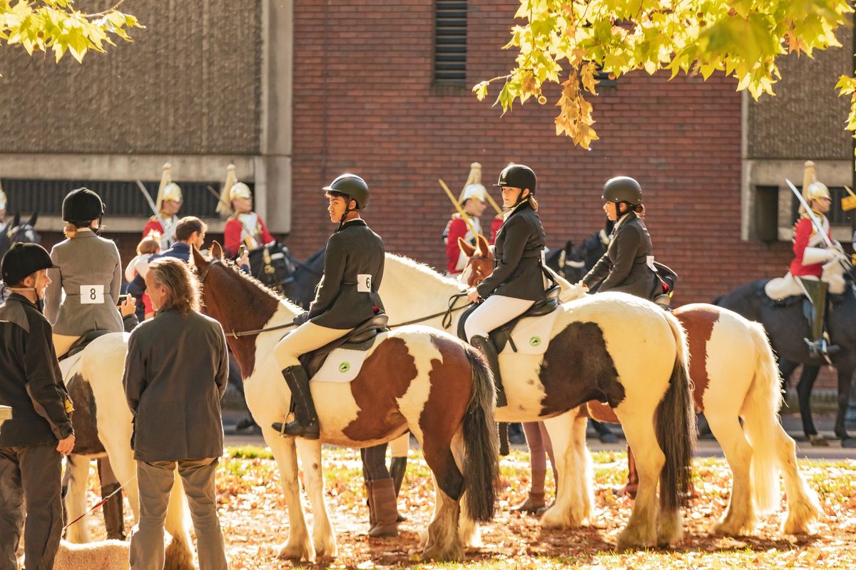 London Riding Horse Show