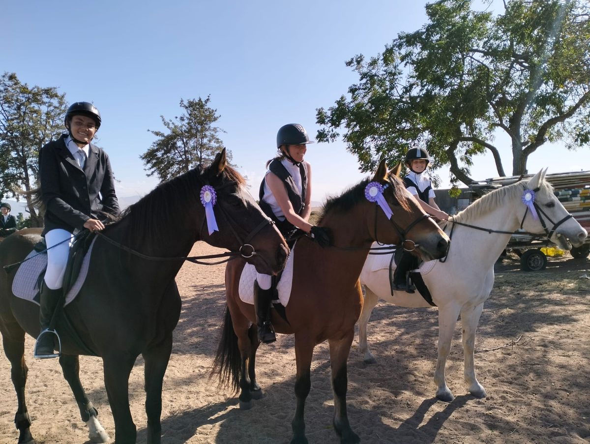 Ashgar Connemara Pony Stud Visit