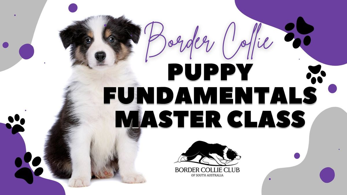 Puppy Fundamentals Master Class
